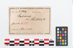 Etikett zu Bronzebrillenfibel (NHMW-PRAE-025609)